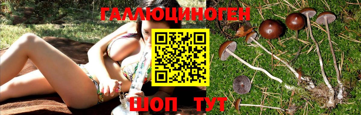 Миасс  Псилоцибиновые грибы ЛСД  как найти закладки  Вход с VPN 